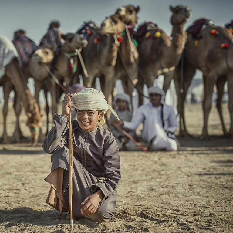 Arabic people and camels